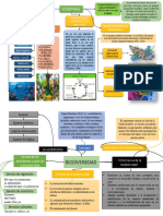 Organizador Visual Ecología y RR - NN