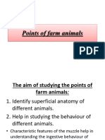 Points of Farm Animals