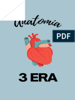 3 Era Anatomia