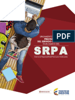 SRPA2-Modulo 1 Edicion Lineamientos en El Marco SRPA