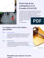 Proteccion de Los Trabajadores en El Ecuador LOACEP