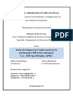 L'impact de L'audit Social Sur La Performance RH D'une Entreprise