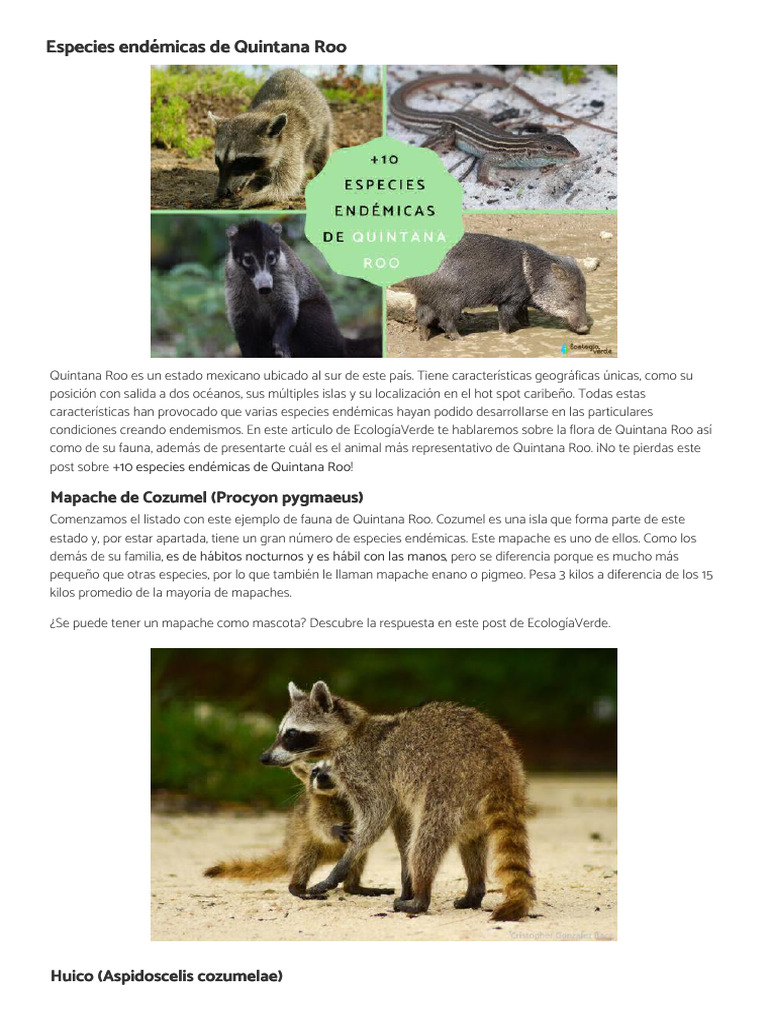 Especies End micas De Quintana Roo Ecologiaverde 1 PDF 
