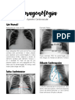 Imagenologia (Resumo) - Aparelho Cardiovascular