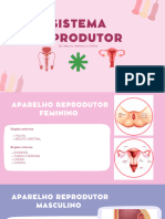 Sistema Reprodutor