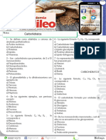 Seminario de Biologia Carbohidratos