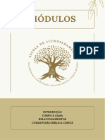 PDF Módulos Novo