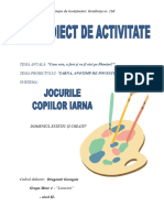 0 Proiect de Activitate Dec