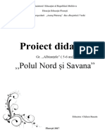 Proiect Didactic Polul Nord