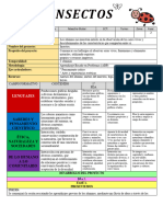 Insectos Planeación.