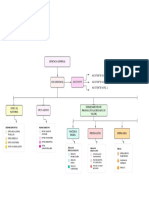 Organigrama de Pronaca