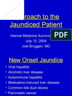 Approach To The Jaundiced Patient: Internal Medicine Survivor Series July 12, 2004 Joel Bruggen, MD
