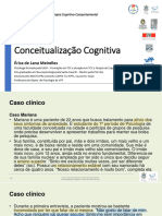 Caso Clinico - Conceitualizacao - Puc 2022 - Organized