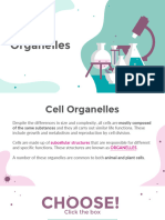 Lesson 2 - Organelles