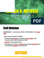Lesson 6 - Mitosis