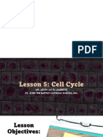 Lesson 5 - Cell Cycle