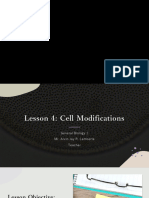 Lesson 4 - Cell Modifications