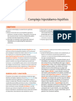 Leccion 1A Recurso Obligatorio Endocrine en Español