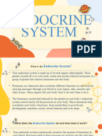 Endocrine System