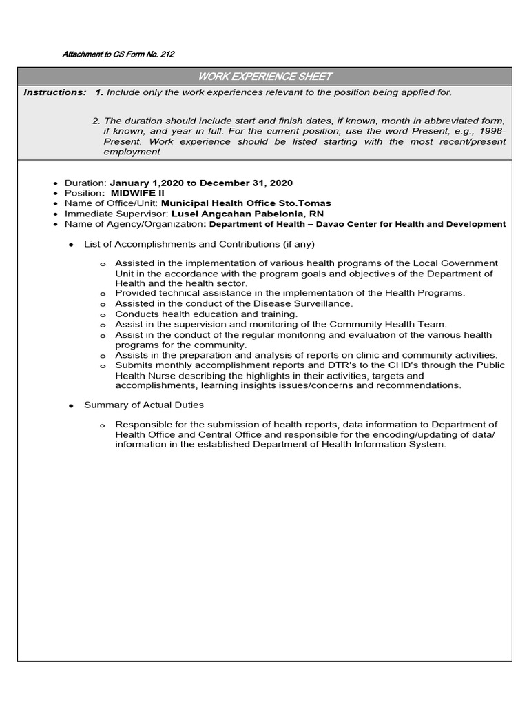 Work Experience Sheet 2021 PDF Nursing Health Informatics
