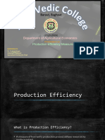 Production Efficiency Measures