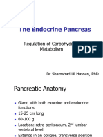 Pancreas