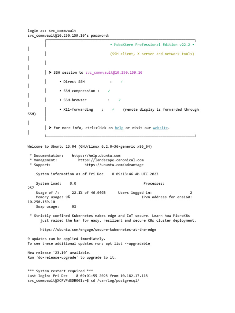 MobaXterm 10.250.159.10 20231208 224453 | PDF | Postgre Sql | Superuser