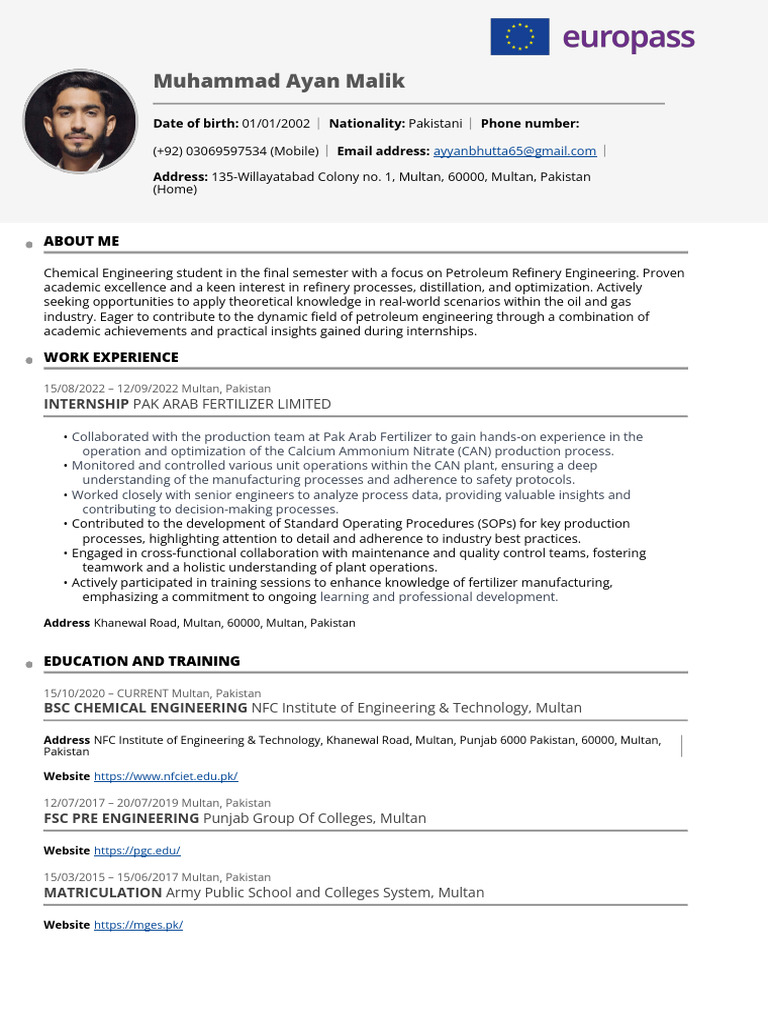 Europass CV Template Download Free PDF Engineering Oil Refinery