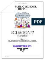 Electrochemical Cell (P) .PDF - 20240114 - 115900 - 0000