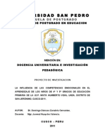 Universidad San Pedro