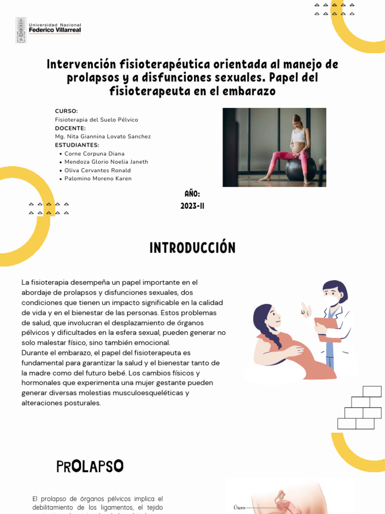Expo 4 Piso Pelvico | PDF | Parto | Vagina