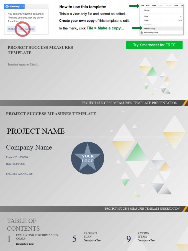 IC Project Success Measures Template Google Slides PDF