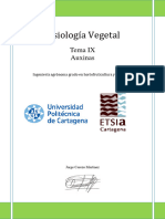 Tema-9-Auxinas - PDF Versión 1