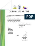 Certificate of Completion - Caayunan Es Basud District