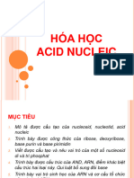 7.hoa Hoc Acid Nucleic
