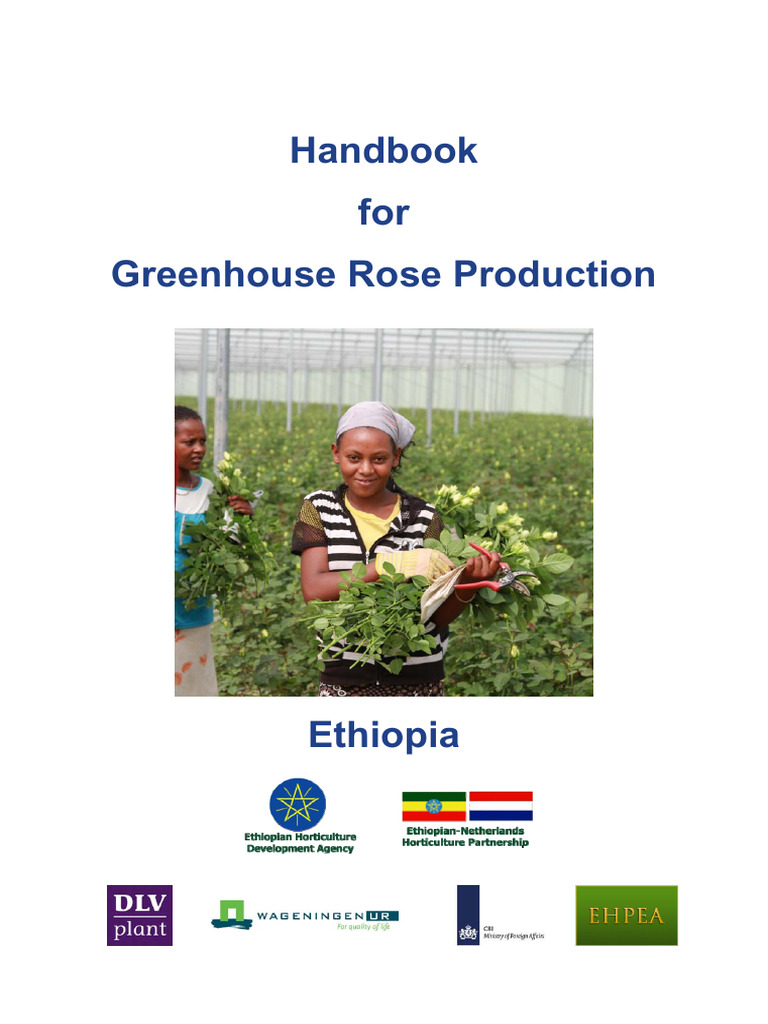 Handbook For Greenhouse Rose Production Ethiopia-Wageningen University ...