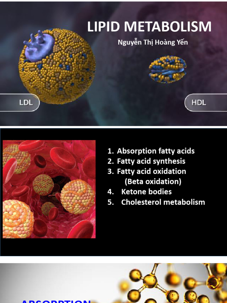 Which Involves Shuttling Lipid Reference: Bản Sao Của Lesson3 Lipid Metabolism Pdf Fatty Acid
