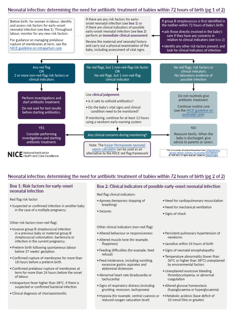 Visual Summary On Neonatal Infection Determining The Need For Antibiotic Treatment of Babies