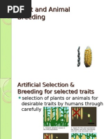 Download Plant and Animal Breeding by api-3798760 SN6987892 doc pdf