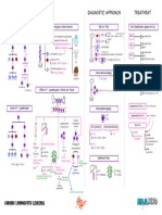 Hematology Pathology - 005) Chronic Lymphocytic Leukemia (CLL) (Illustrations - Key)