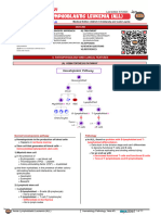 Hematology Pathology - 003) Acute Lymphoblastic Leukemia (ALL) (Notes)