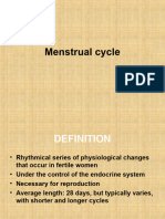 Menstrual Cycle 3