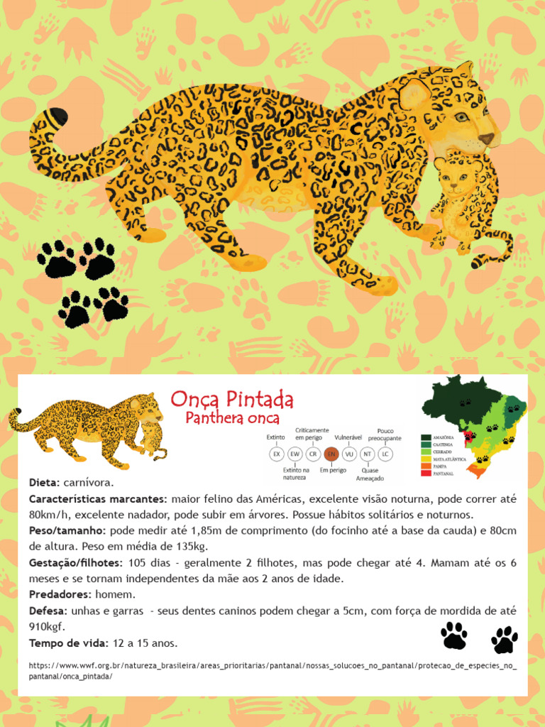 Características da Onça Pintada | PDF | Jaguar