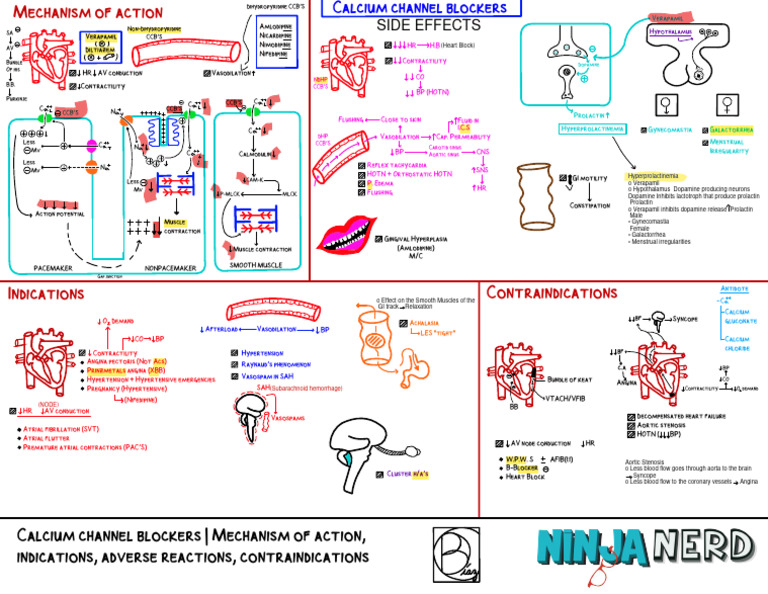 Image Result For Cardizem For Afib A Guide On Calcium Channel Blockers For Afib