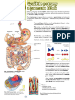 Biológia 7.ročník PDF