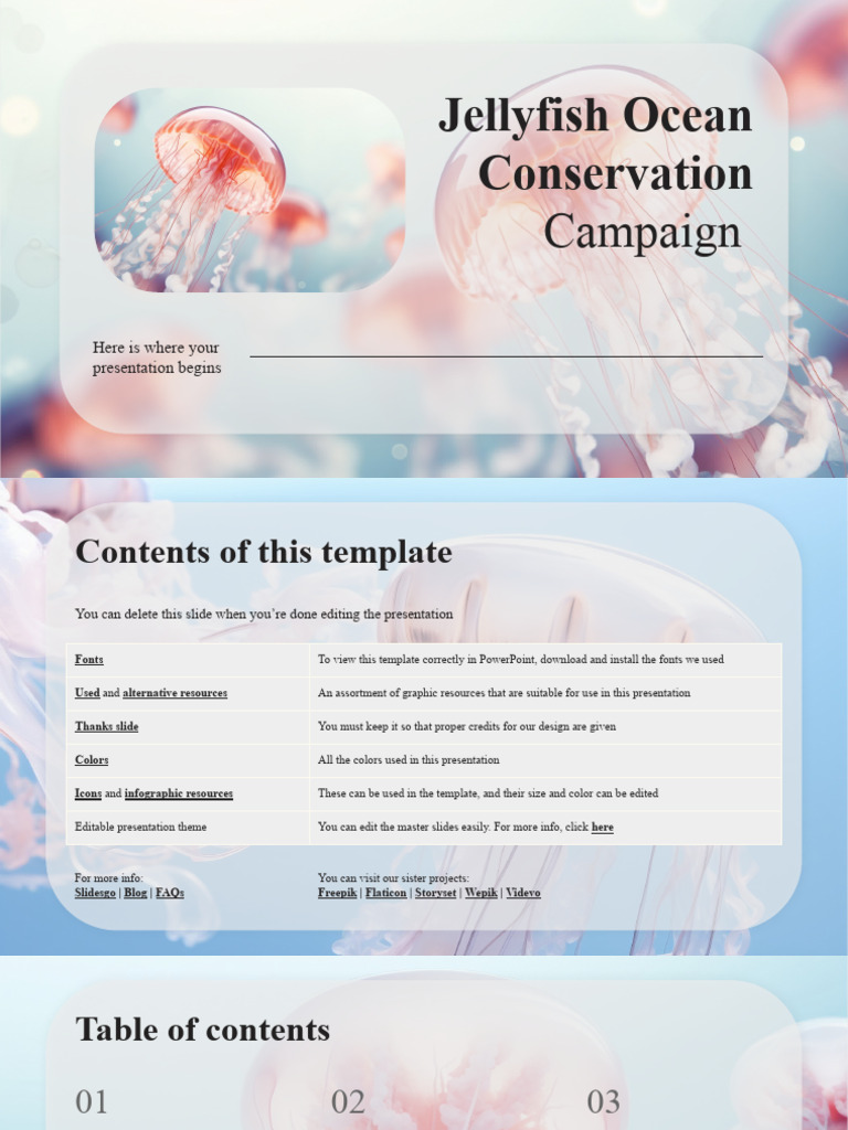 Jellyfish Conservation Campaign Guide | PDF | Brand | Target Audience