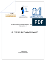 Résumé (Consultation Juridique)