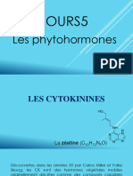 Cours Cytokinine Nov 2023