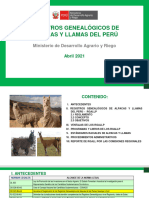 Ponencia2 Alp Registradas