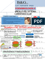 1 CLASE MORFOEMBRIO2 Generalidades, Angio, Vasculo